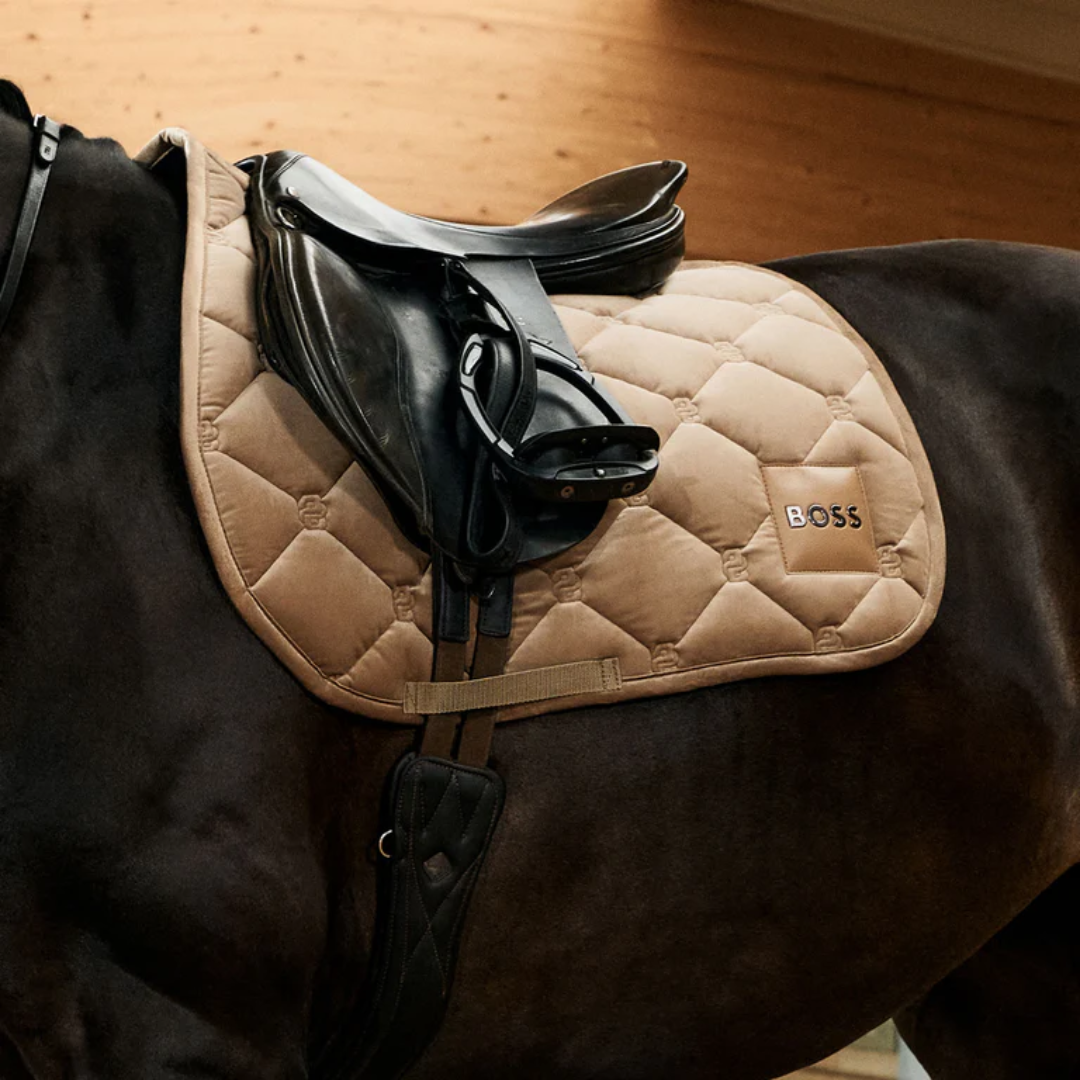 Saddle Pads BOSS Equestrian
